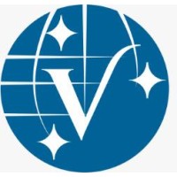Vishwnet India Private Limited logo - Similar company to Tech Transformerz