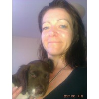 Teresa Swann logo - Similar company to Datalink Recruitment