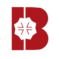 Bloom Impex logo - Similar company to Verse Networks