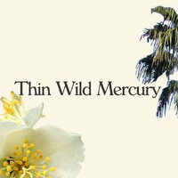 Thin Wild Mercury logo - Similar company to Rebelle Rebelle