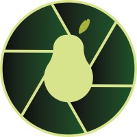 Creative Avocados logo - Similar company to Tnt Brothers