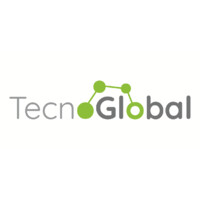 Servicios Tecnoglobal 21 logo - Similar company to Megabyte Solutions