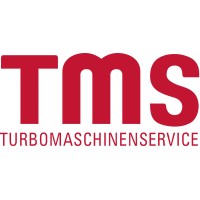 TMS MENA logo - Similar company to SORT