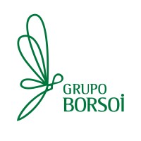 Grupo Borsoi logo - Similar company to Secma - Secretaria Municipal De Ciência, Tecnologia E Meio Ambiente