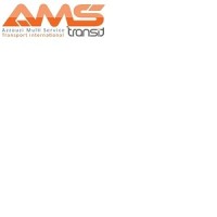 AMS Azzouzi Multi Service logo - Similar company to Jean-Pascal Schaefer