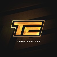 THOR ESPORTS logo - Similar company to Vestcodes