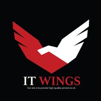 IT WINGS logo - Similar company to It-Wings