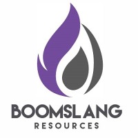 Boomslang Resources, LLC logo - Similar company to Maxima Minerals