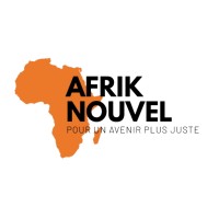 Afrik Nouvel logo - Similar company to 5D'S