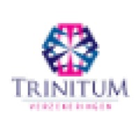 Trinitum B.V. logo - Similar company to De Keyzer Zekerheid