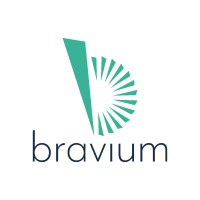 Bravium Consulting Inc. logo - Similar company to Bravium