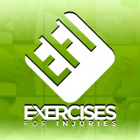 Exercises For Injuries logo - Similar company to Quickdesk Virtual Solutions