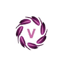 Vishura Technologies logo - Similar company to Quantum Wave It Solutions