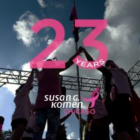 Susan G. Komen Chicago logo - Similar company to Comferie