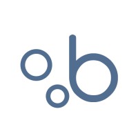 blueberrysoft logo - Similar company to Trinetra Studio