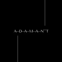 ADAMANT EVENTS logo - Similar company to Dive | Digital & Interactive Venue
