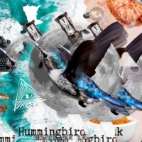 Hummingbird Blink: Nectar Poetry logo - Similar company to Dipity Lit Mag