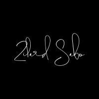 ZILARD SABO logo - Similar company to Pokeytummy