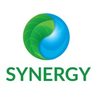 Mizuho Synergy