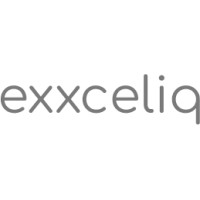 Exxceliq solutions logo - Similar company to Mjtechnologies Ltd