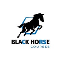 Black Horse Courses logo - Similar company to Black Horse Programming