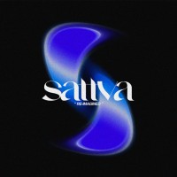Sattva NMIMS logo - Similar company to Data Mavericks