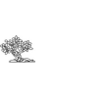 Riva Trace Baptist logo - Similar company to Yesdeutsch