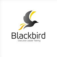 Blackbird Experience logo - Similar company to Gedepec