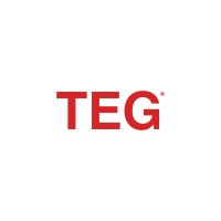 Tourism and Entertaiment Group LLC (TEG) logo - Similar company to Tecsoft Labs