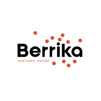 Berrika logo - Similar company to Y&A Transformation Pvt. Ltd.