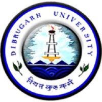 Dibrugarh University Institute of Engineering and Technology logo - Similar company to Training And Placement Cell, Dhemaji Engineering College