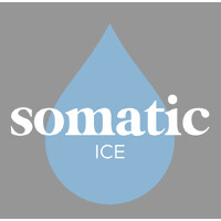 Somatic Ice logo - Similar company to Cuentas Inc.