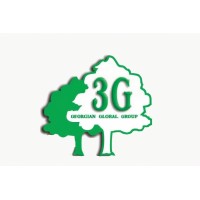3G Georgian Global Group logo - Similar company to Karazanashvili Robotic Center • ქარაზანაშვილის რობოტული ცენტრი