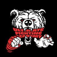 Ultimate Fighting Academy logo - Similar company to Vincent Aydin Consulting