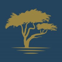 Lone Cypress Wealth Management of Raymond James logo - Similar company to Div Industrial