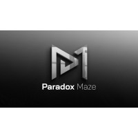 Paradox Maze logo - Similar company to Torcia Tech