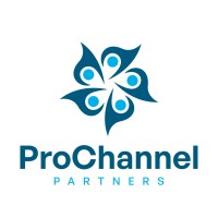 ProChannel Partners France logo - Similar company to Bauld