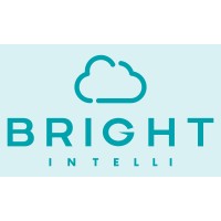 Bright Intelli LLC logo - Similar company to Bright Intelli Llc