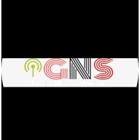 Global Net Solutions