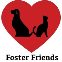Foster Friends Incorporated logo - Similar company to Infinity Capital Solutions