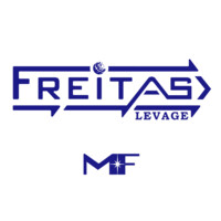 Freitas levage logo - Similar company to Atm Levage