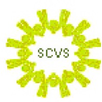 Slough CVS logo - Similar company to Ways Into Work