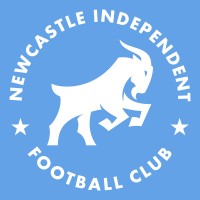 Newcastle Independent Football Club logo - Similar company to Virtual Heavy Industries