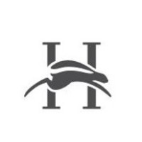 HASE Solutions logo - Similar company to Alset Gmbh