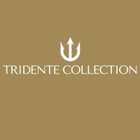 Tridente Collection logo - Similar company to Pacini Group