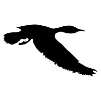 CRUCEROS ANGEL logo - Similar company to Shore2Shore - Excursiones Para Cruceros -