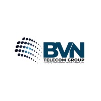 BVN Telecom Group logo - Similar company to Ikingdomgate
