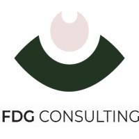 FDG Consulting logo - Similar company to Kingdom Technology