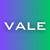 VALE Consultores logo - Similar company to Findesco Consulting