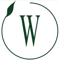 Wise Investment logo - Similar company to Tricolour Values Group